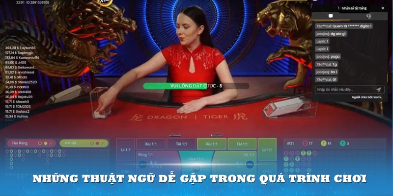 Những thuật ngữ thường gặp trong quá trình chơi